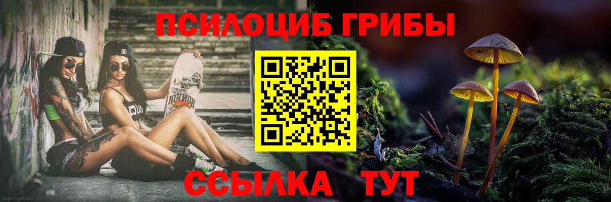 Псилоцибиновые грибы ЛСД  Вход с VPN  Псилоцибиновые грибы ЛСД  Чернушка 